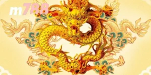 Soi cầu 247 Rồng Bạch Kim được nhiều người áp dụng