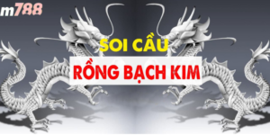 Người chơi kiểm tra kết quả dự đoán soi cầu MB Rồng Bạch Kim trên điện thoại